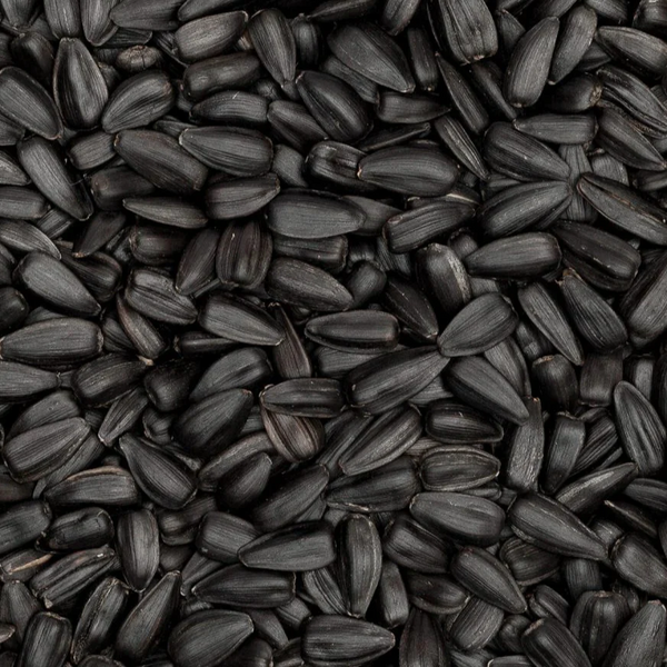 Black Seed Oil