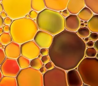 Oregano Oil
